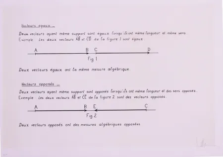 Lithograph Venet - VECTEURS