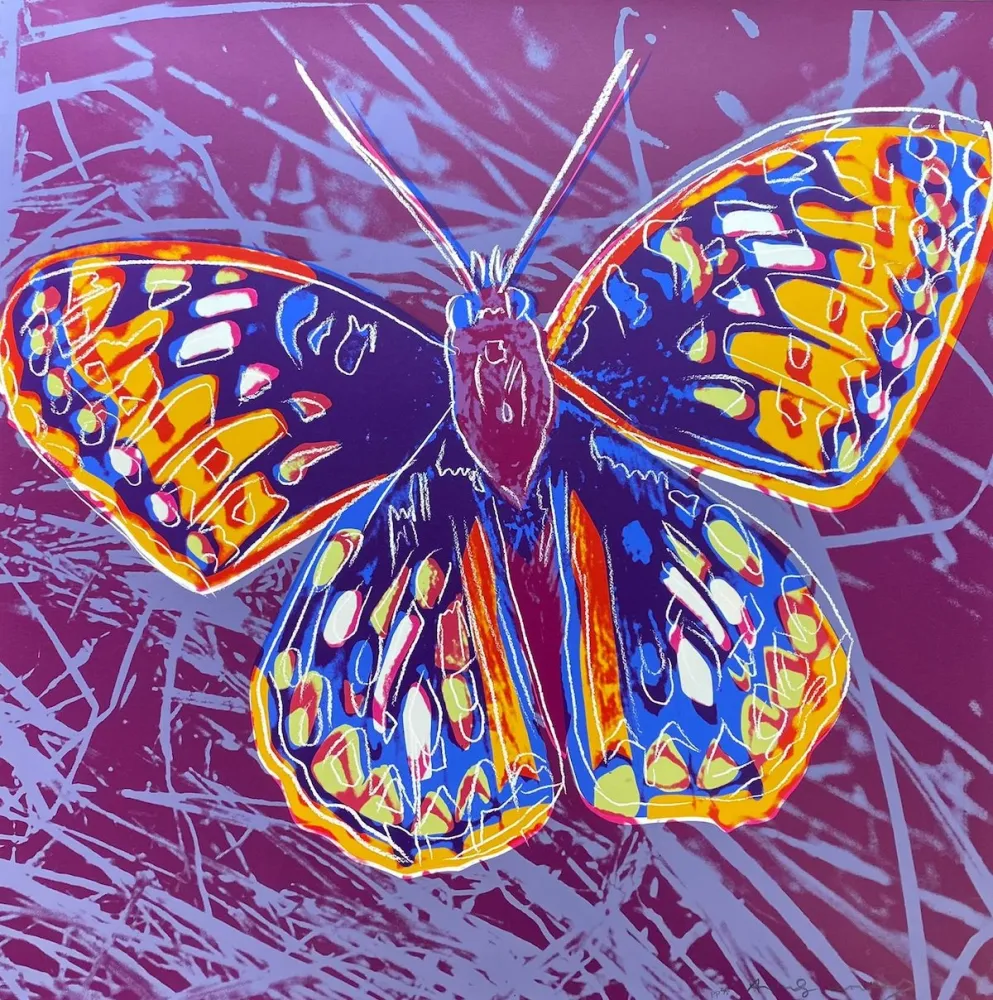 Screenprint Warhol - San Francisco Silverspot (FS II.298)