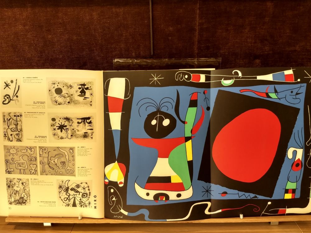 Illustrated Book Miró - 10 ans edition