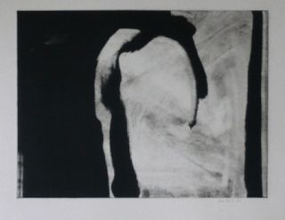 Etching And Aquatint Bird - Abstract 1