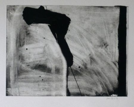 Etching And Aquatint Bird - Abstract 2