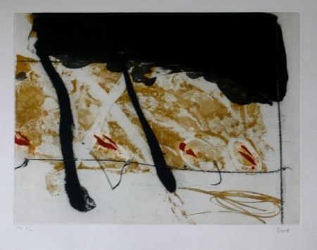 Etching And Aquatint Bird - Abstract 8