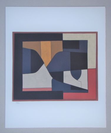 Lithograph Vasarely - Ailho