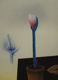 Lithograph Wunderlich - Amaryllis