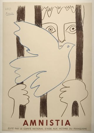 Poster Picasso - Amnistia