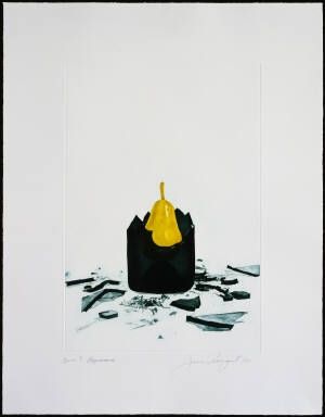 Etching And Aquatint Rosenquist - Appearance