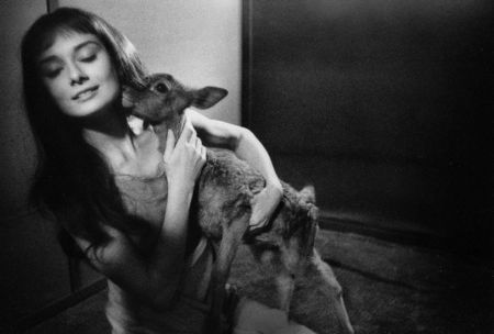 Photography Willoughby - Audrey Hepburn and deer