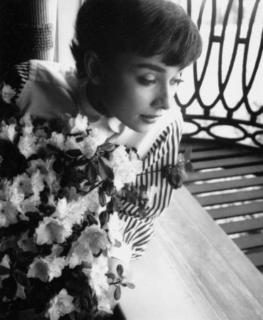 Photography Willoughby - Audrey Hepburn window