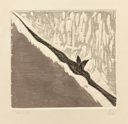 Etching Toledo - Bat in Flight 