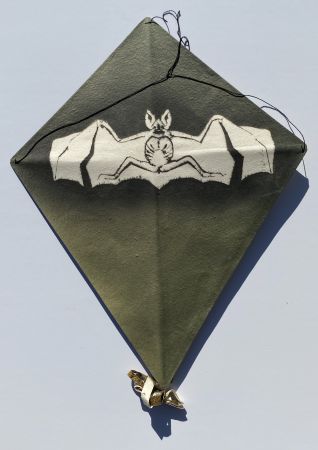 No Technical Toledo - Bat on Green Background Kite