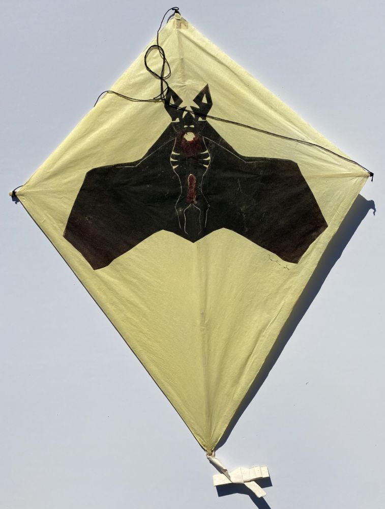 No Technical Toledo - Bat on Yellow Background Kite