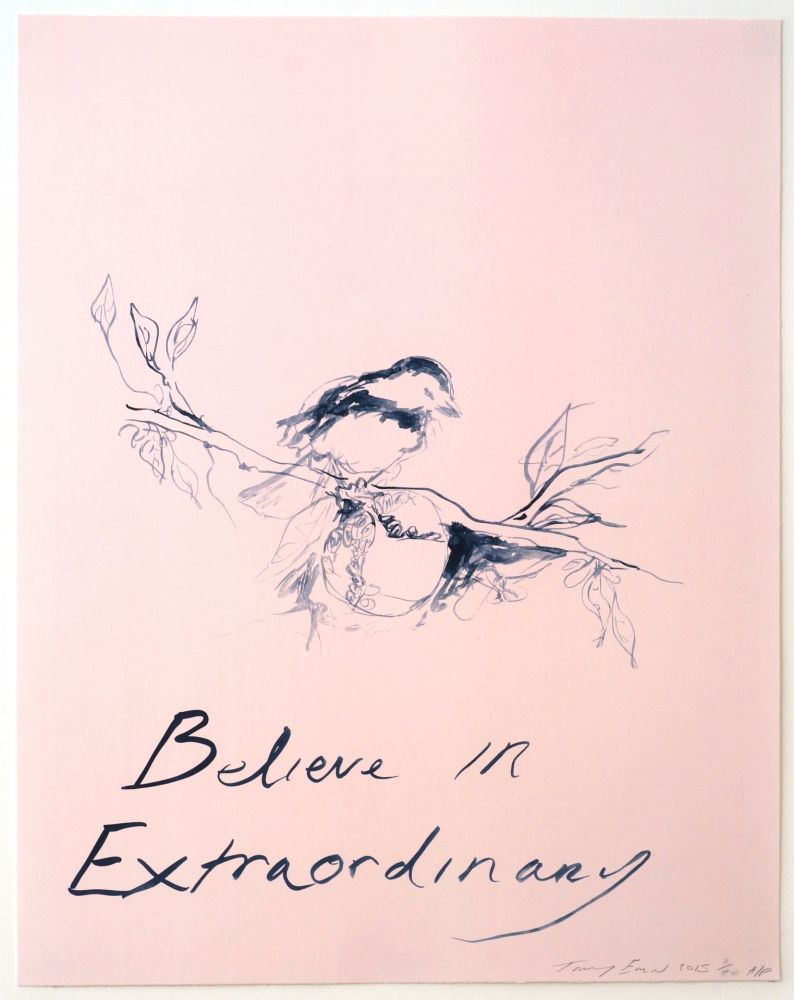 Lithograph Emin - Believe in Extraordinary
