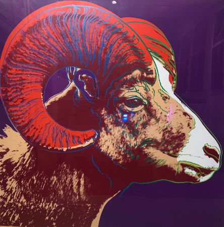 Screenprint Warhol - Bighorn Ram TP (FS II.302)