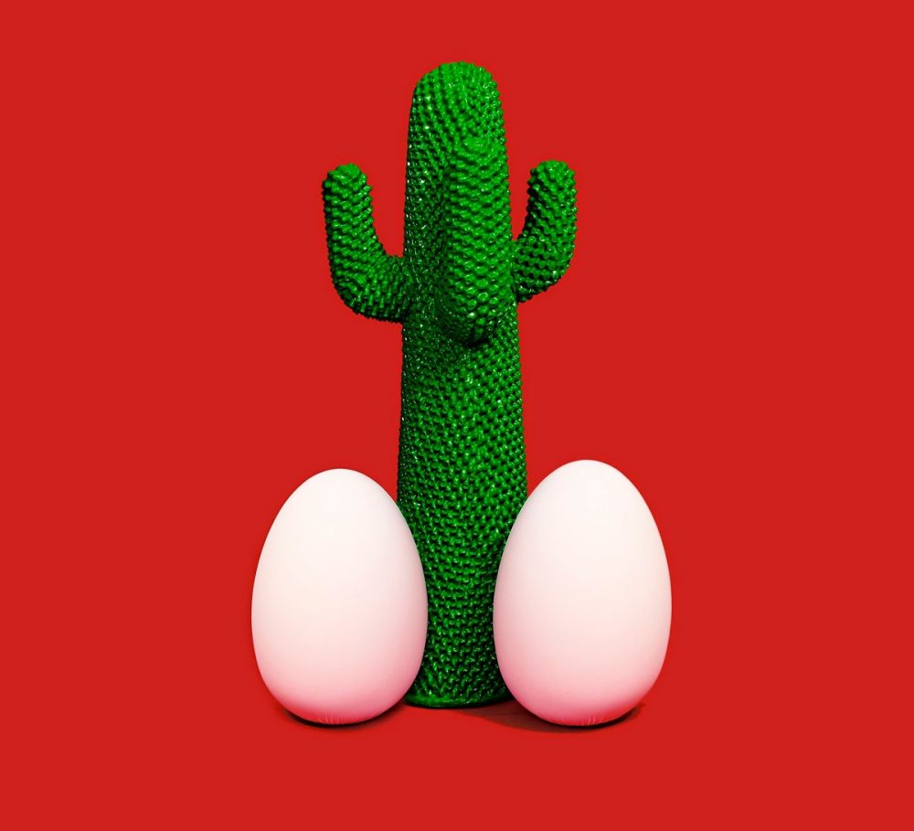 No Technical Cattelan - Cactus God