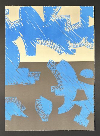 Lithograph Accardi - Carla Accardi (1924 - 2014) - Blu - Color Lithograph
