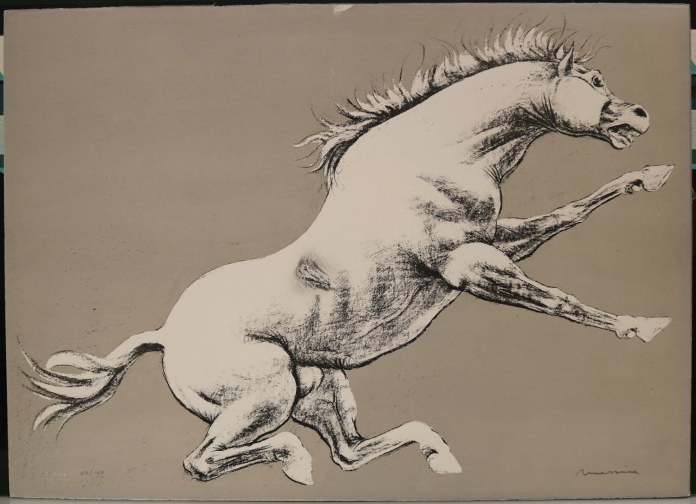 Lithograph Messina - Cavallo