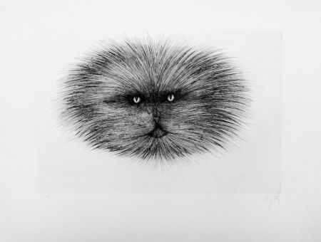 Drypoint D'ho - Chat gris