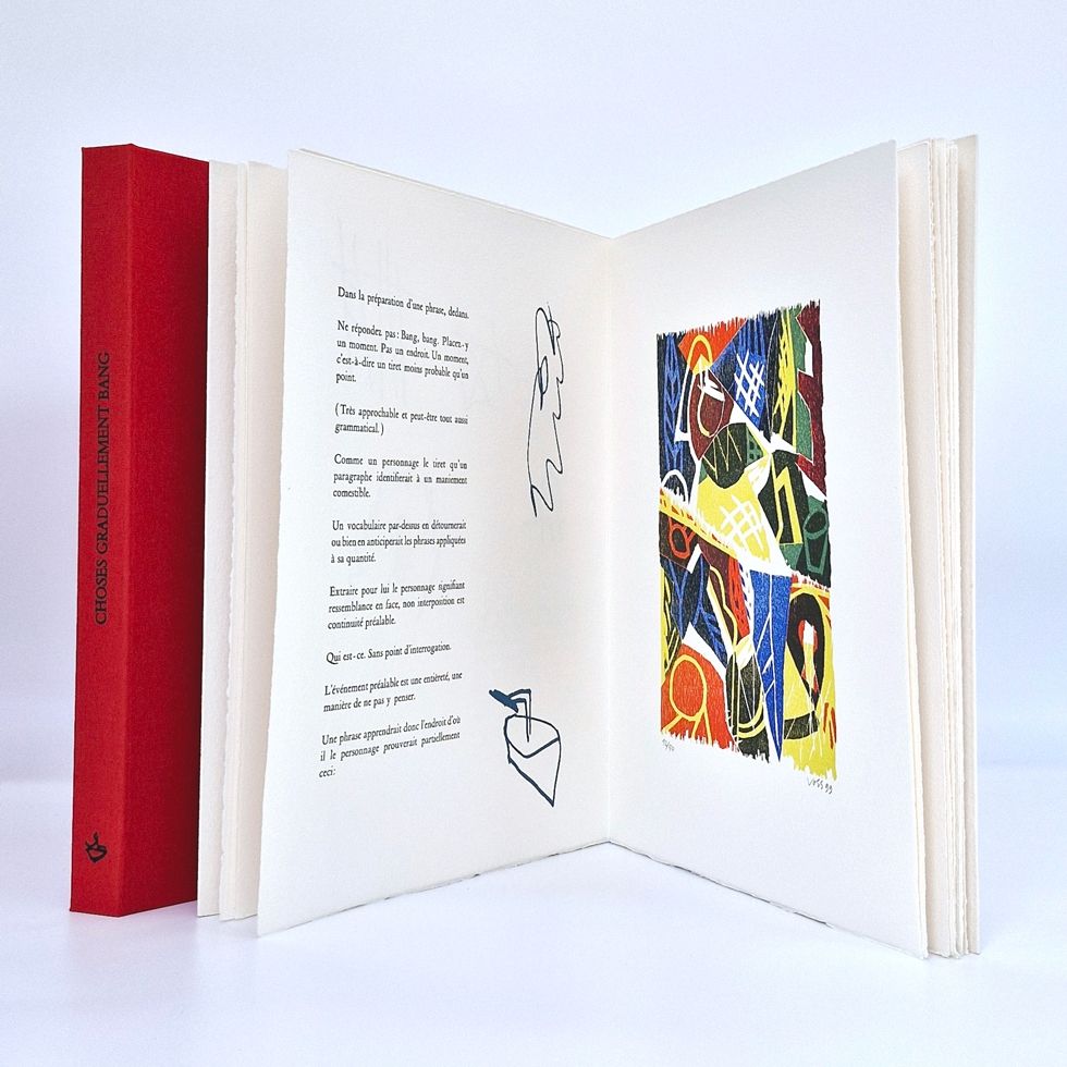 Illustrated Book Voss - CHOSES GRADUELLEMENT BANG