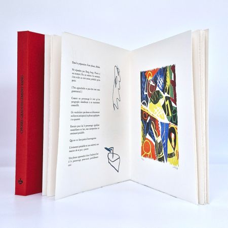 Illustrated Book Voss - CHOSES GRADUELLEMENT BANG