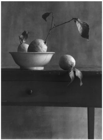 Photography Anonyme - COIGNY Christian (1946).  Nature morte aux citrons