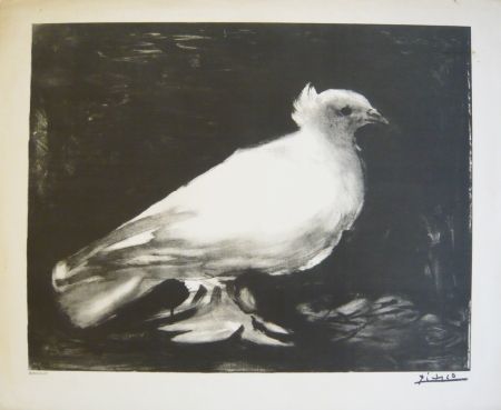 Lithograph Picasso - Colombe
