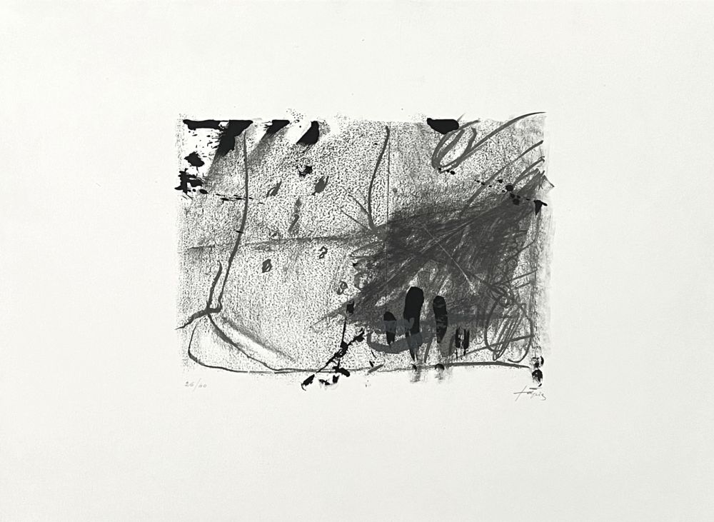 Lithograph Tàpies - Composición