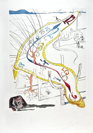 Etching Dali - Conquest of Cosmos Frozen Watches of Space Time