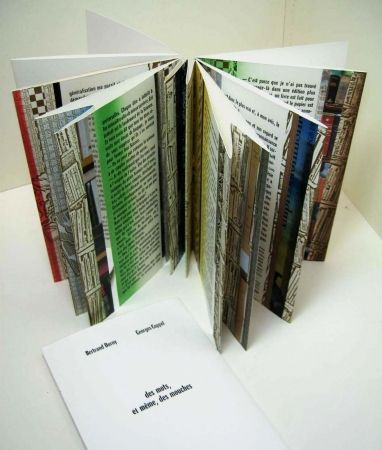 Illustrated Book Dorny - Des mots, et meme, des mouches 
