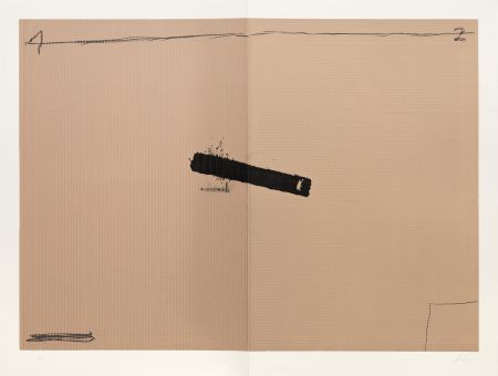 Lithograph Tàpies - Deux volets