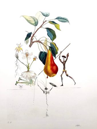 Lithograph Dali - Don Quixote Pear