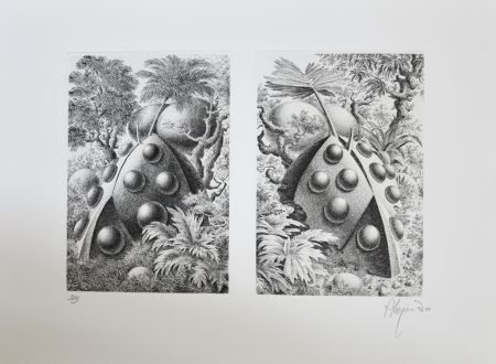 Etching Alejandro - Double beetle forest
