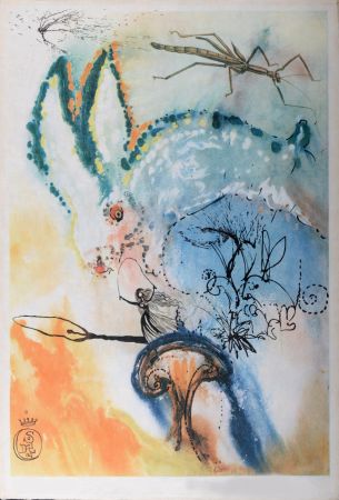 Rotogravure Dali - Down the Rabbit Hole, 1969