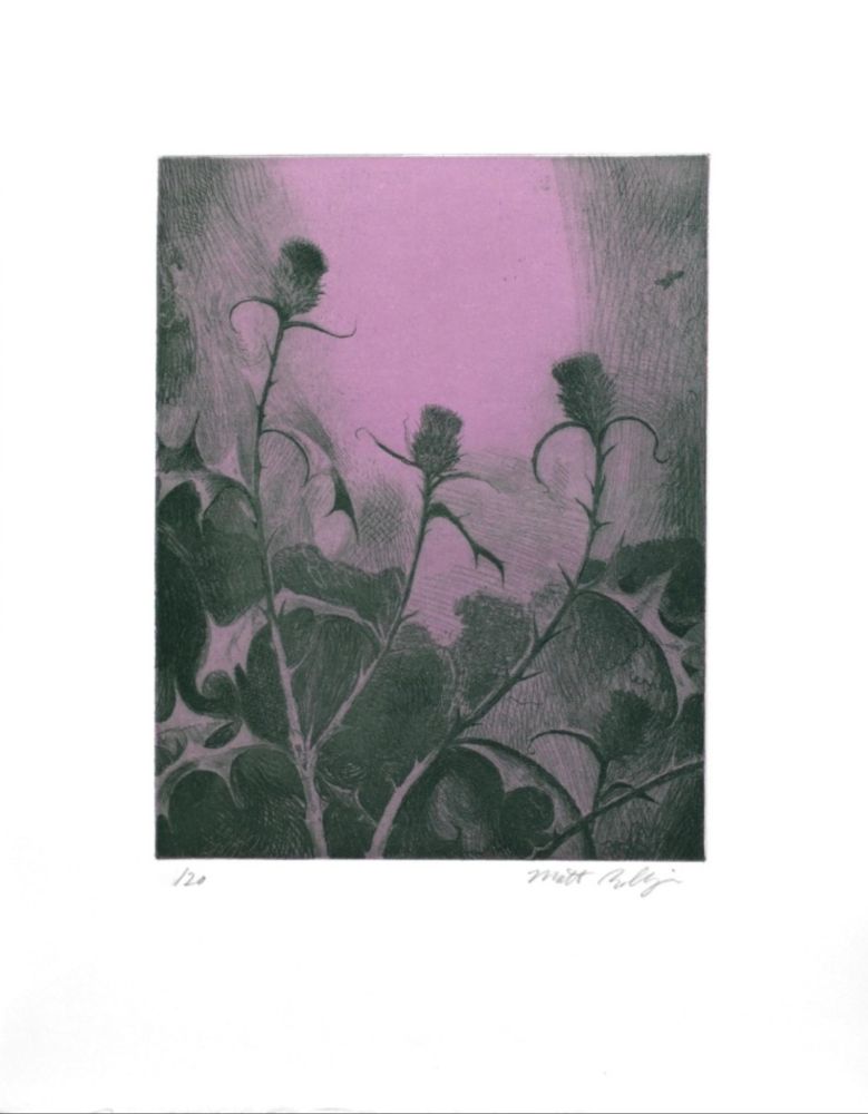 Etching Bollinger - Dusk Thistle