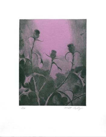 Etching Bollinger - Dusk Thistle