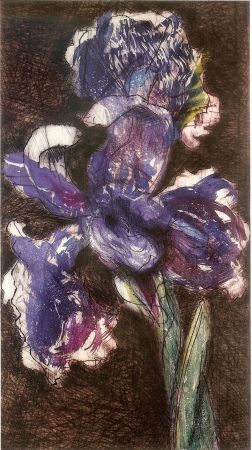 Lithograph Kentridge - Dutch Iris II