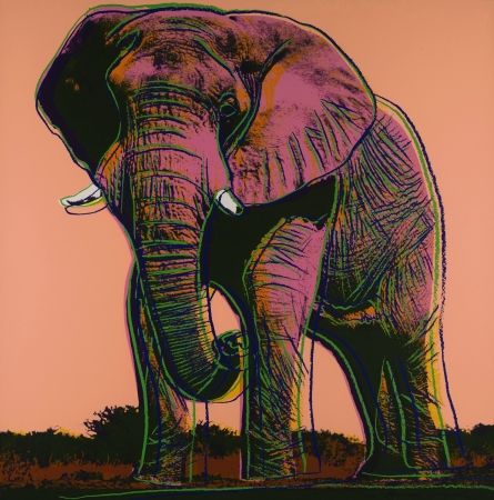 Screenprint Warhol - Elephant 