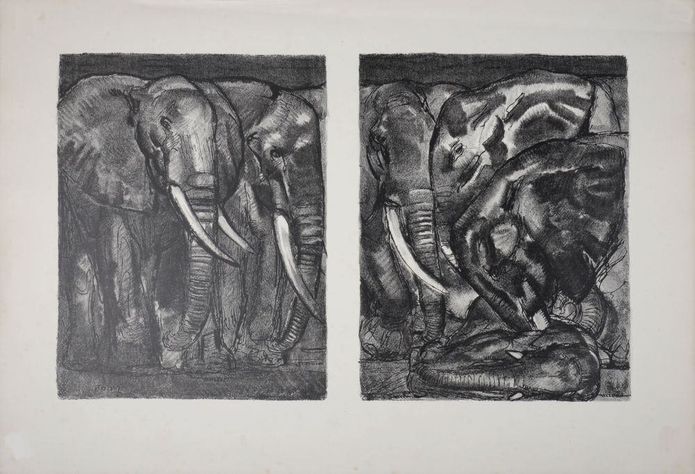 Lithograph Jouve - Elephants