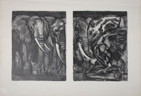 Lithograph Jouve - Elephants