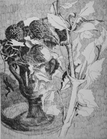 Engraving Bianchi Barriviera - Fiori e foglie bianche