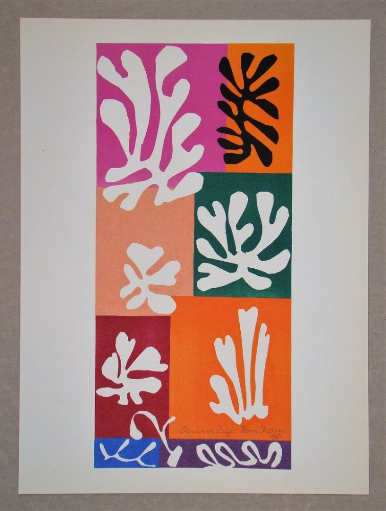 Lithograph Matisse (After) - Fleur De Neige - 1951