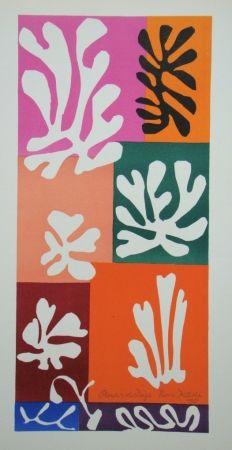 Lithograph Matisse - Fleurs De Neige