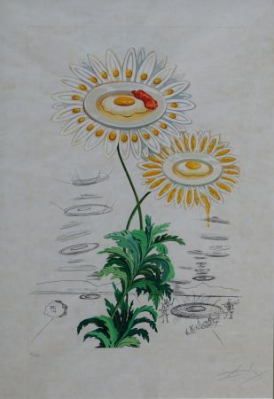 Etching Dali - Flora Dalinae Chrysanthemum