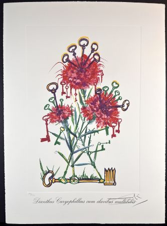 Etching Dali - Florals Carnation Keys