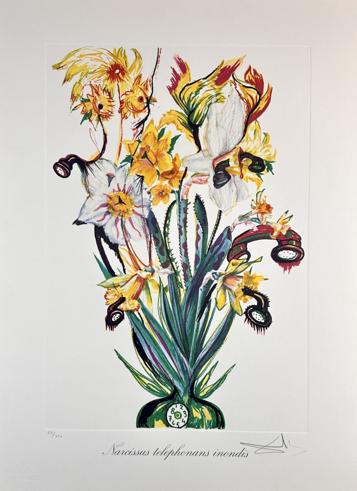 Etching Dali - Florals Daffodils of Love