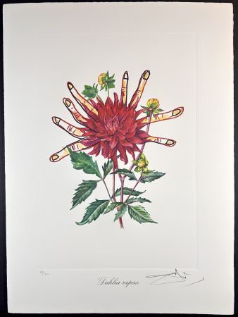 Etching Dali - Florals Dahlias of Dali