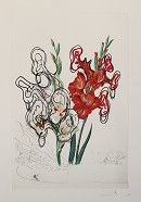 Lithograph Dali -  Florals; Gladiolus [ + EARS ] Custa Brava 1972