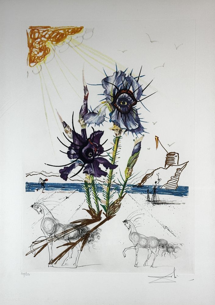 Etching Dali - Florals Iris