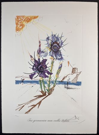 Etching Dali - Florals Iris of Dali's Youth