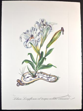 Etching Dali - Florals Lilies of Time
