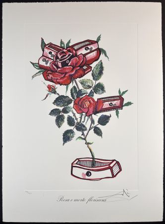 Etching Dali - Florals Roses of Memory